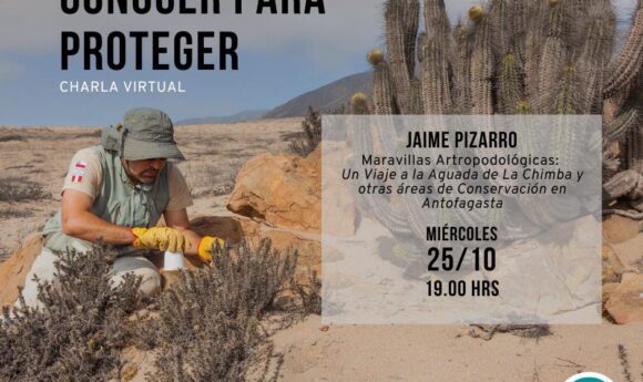 Próximo «Conocer para Proteger»: Expone el entomólogo Jaime Pizarro