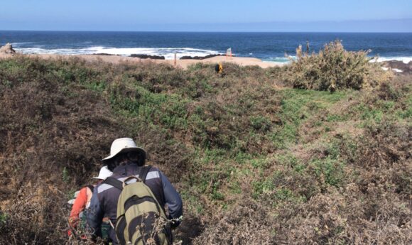 El fascinante mundo de los artrópodos: Un viaje a la Aguada de La Chimba y otras áreas de Conservación en Antofagasta