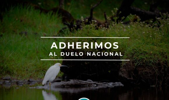 Adherimos al duelo nacional