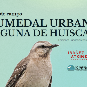 Fundación Kennedy lanza una Guía de Campo digital del Humedal Huiscapi