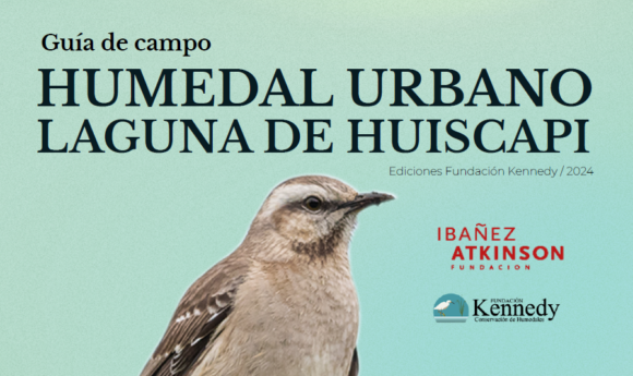 Fundación Kennedy lanza una Guía de Campo digital del Humedal Huiscapi