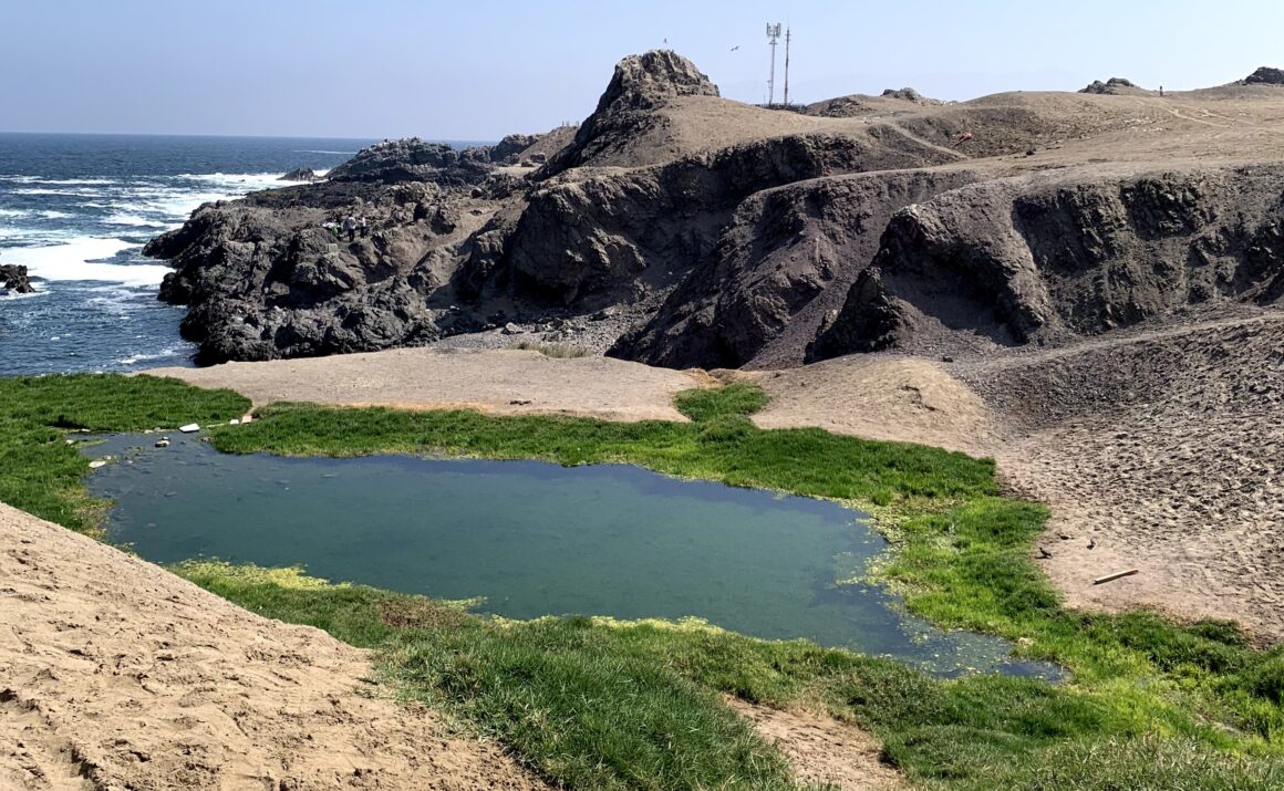 Conoce el Humedal Urbano y Santuario de la Naturaleza Aguada La Chimba