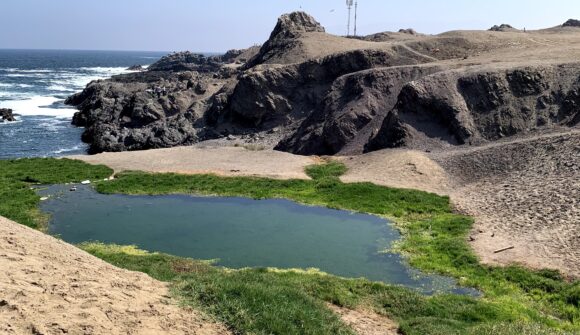 Comunicado de prensa: Corte de Apelaciones de Antofagasta reafirma la necesidad de proteger el Humedal Aguada La Chimba por las ramadas