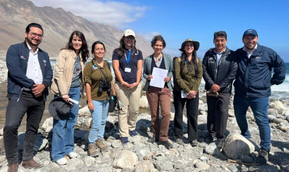 Desembocadura del Río Loa es declarada Santuario de la Naturaleza