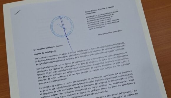 Entregamos carta a alcalde de Antofagasta para solicitar cambio de locación de ramadas para proteger Santuario de la Naturaleza y Humedal Urbano