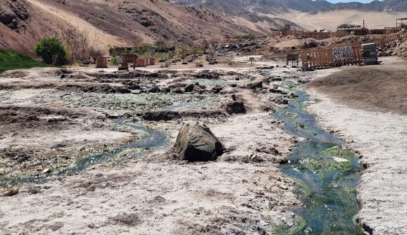 Conoce el humedal Vertientes de Carrizo, en Antofagasta