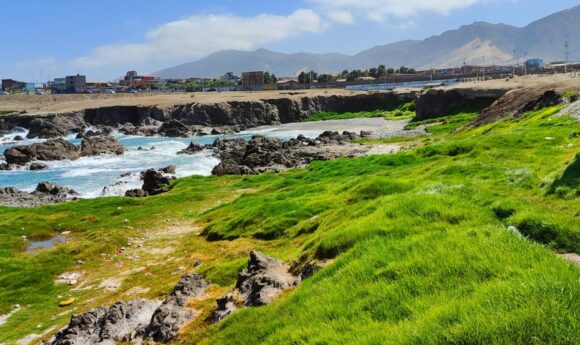 Conoce el humedal La Cascada, en Antofagasta