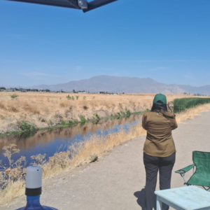 Conservación humedal Estero Las Cruces