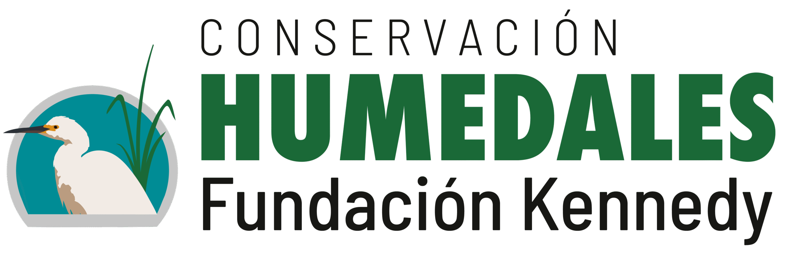 Fundación Kennedy